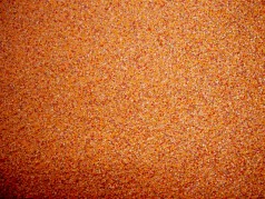 Cd_Achim2.jpg_005