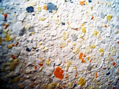 Cd_Achim2.jpg_008